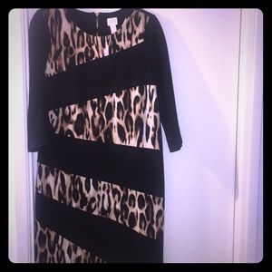 Chico’s leopard print Dress!